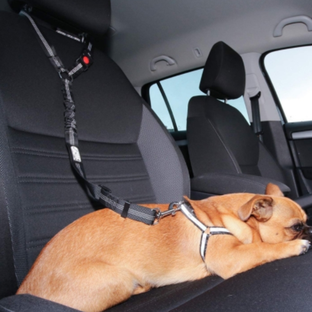 퍼플펫 강아지 안전벨트 헤드레스트형 충격흡수 고급형 애견안전벨트 반려견 대형견