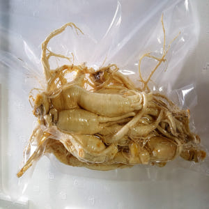 하루 한뿌리 건강한 금산 참 인삼 수삼 세척 중간 파지750g 맛있게 먹은 솔직 후기 - 상품 이미지 4