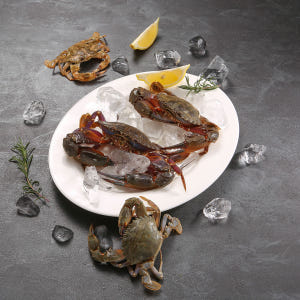 62년 전통 알품게 삼대인천게장 간장게장 돌게장 수제 게장 맛있게 먹은 솔직 후기 - 상품 이미지 2