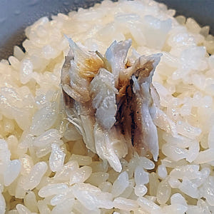 노르웨이 손질 순살 고등어 필렛 서비스 고등어 증정 맛있게 먹은 솔직 후기 - 상품 이미지 3