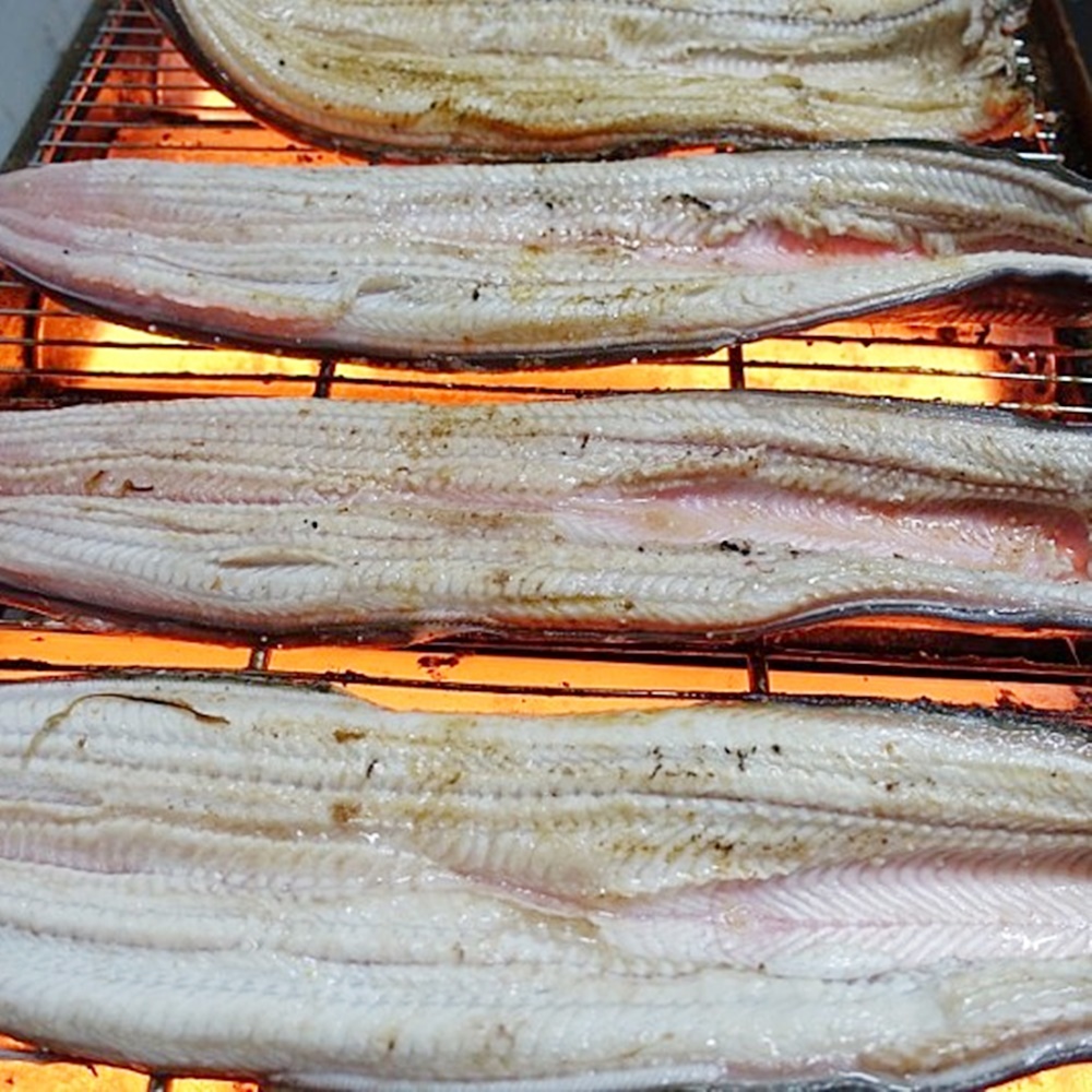 국내산 고창 자포니카 풍천 민물장어 1kg 손질후 600g 내외 - 상세 이미지 5