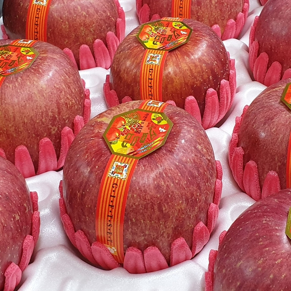 과일 세트 비교