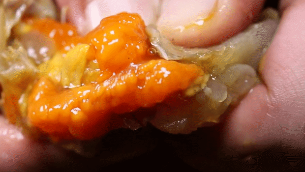 62년전통 알품게 삼대인천게장 간장게장 양념게장 연평도 꽃게장 암꽃게