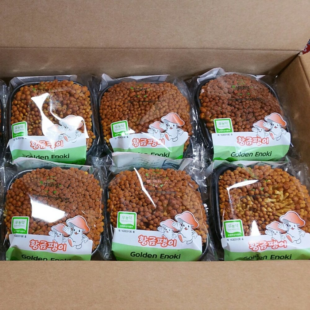 황금팽이버섯 갈색팽이버섯 800g 2kg 전남 창원 - 메인 이미지