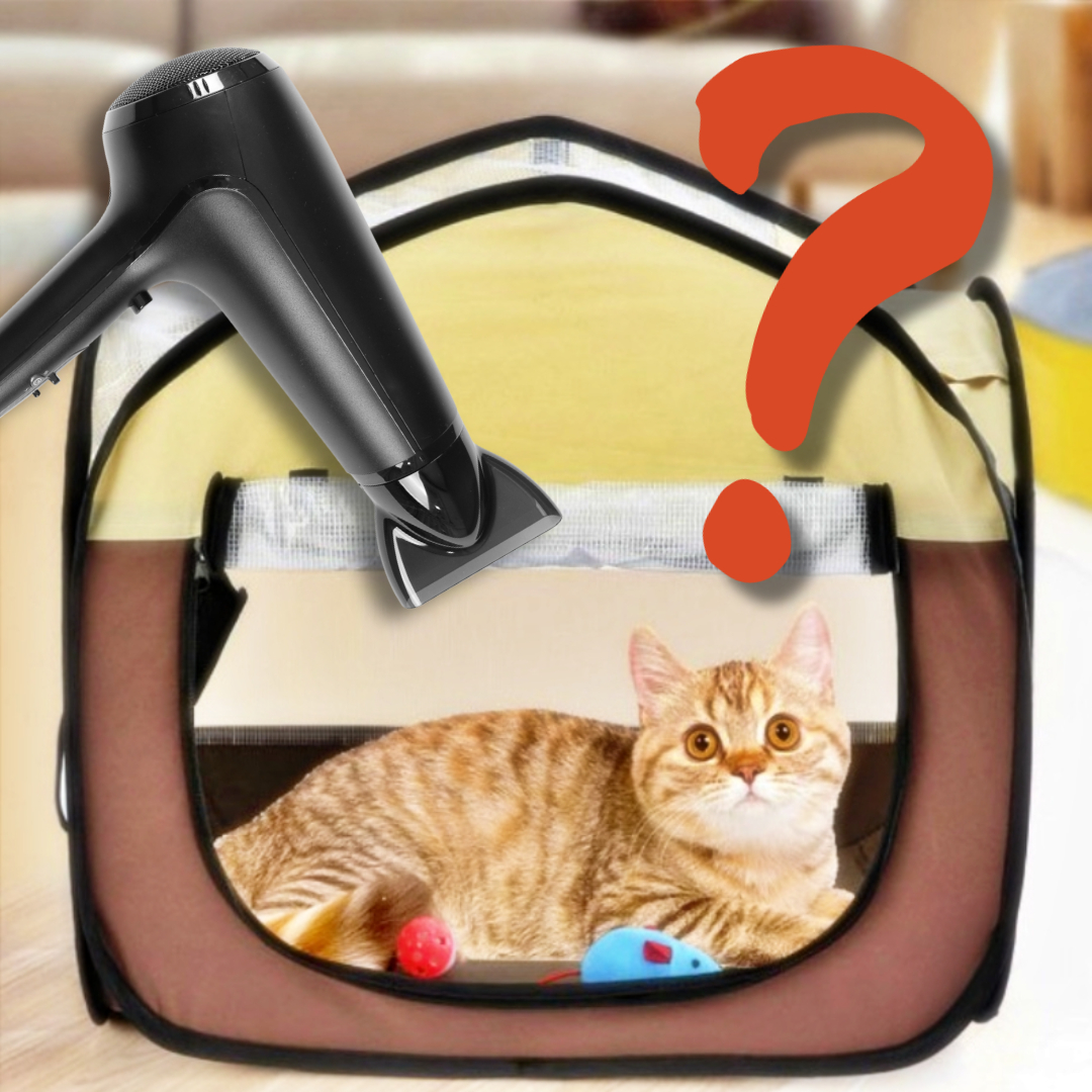 강아지 드라이룸 고양이 건조기 반려동물 애견 애완견 강아지 털 말리기 펫 케어룸