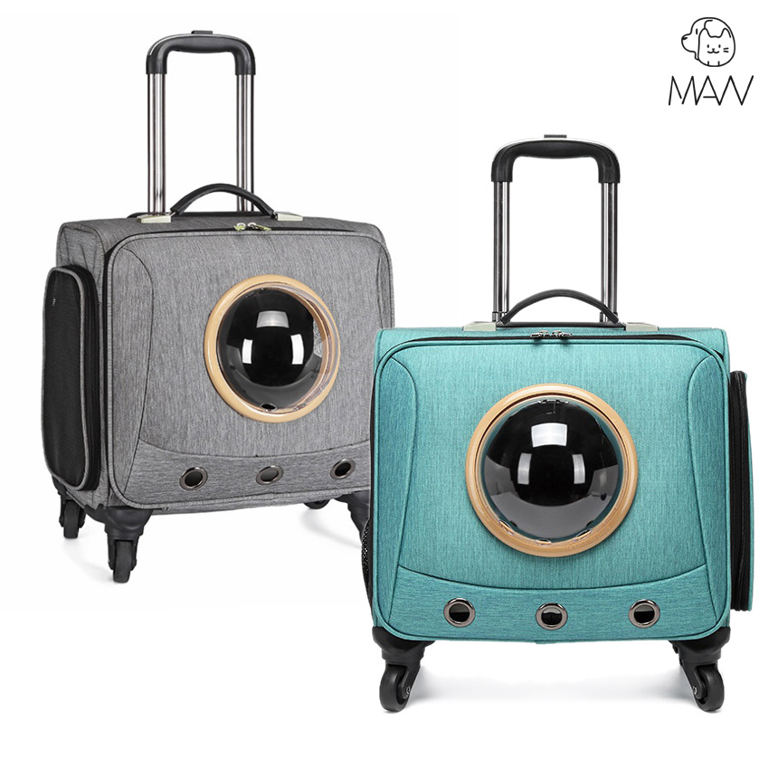 우주선가방 강아지 고양이 캐리어 이동가방 이동장