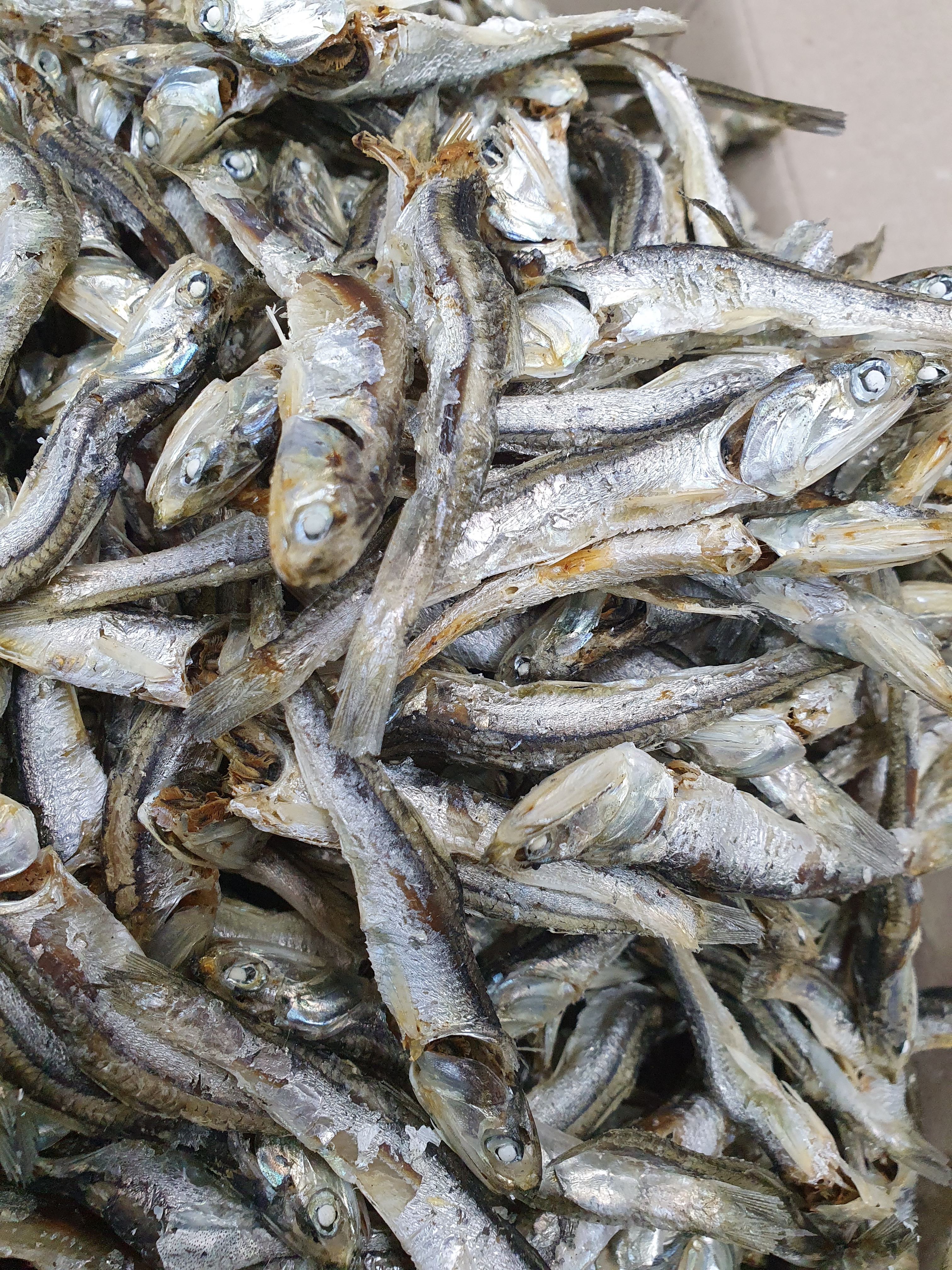(엄마멸치) 국산 남해안 육수용 다시멸치 750g, 1개 - 상세 이미지 3