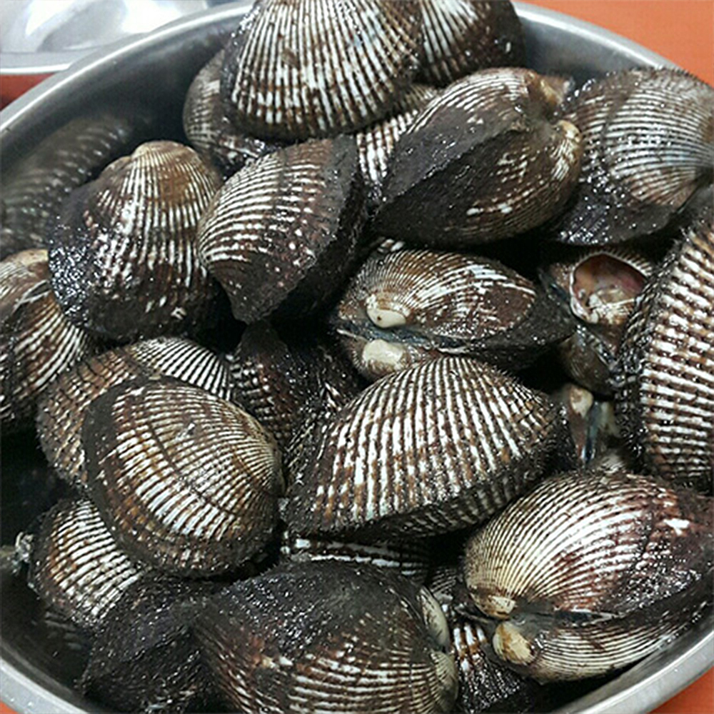 국내산 꼬막 새꼬막 1kg 중품 대품 - 상세 이미지 4