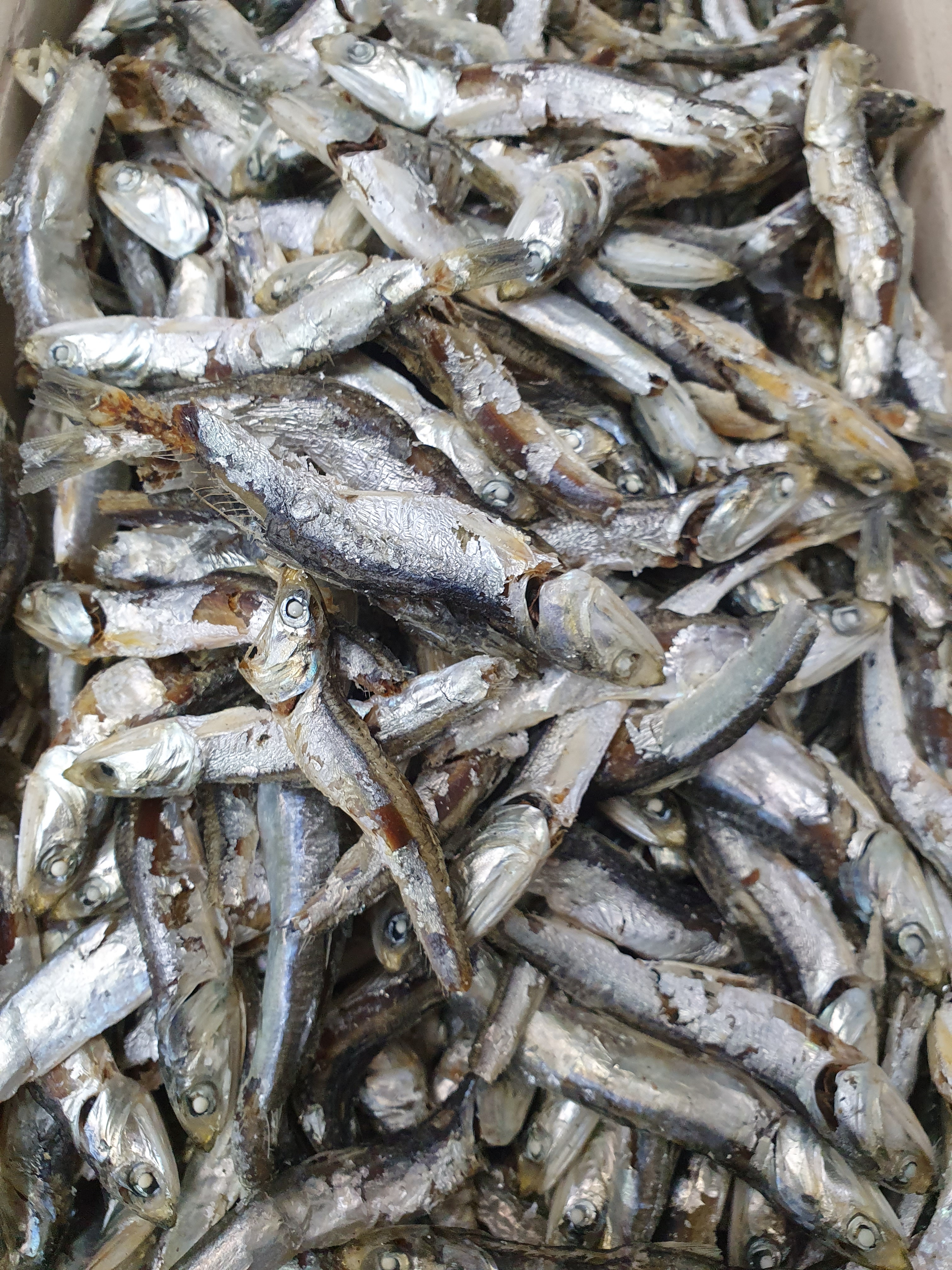 (엄마멸치) 국산 남해안 육수용 다시멸치 750g, 1개 - 상세 이미지 2