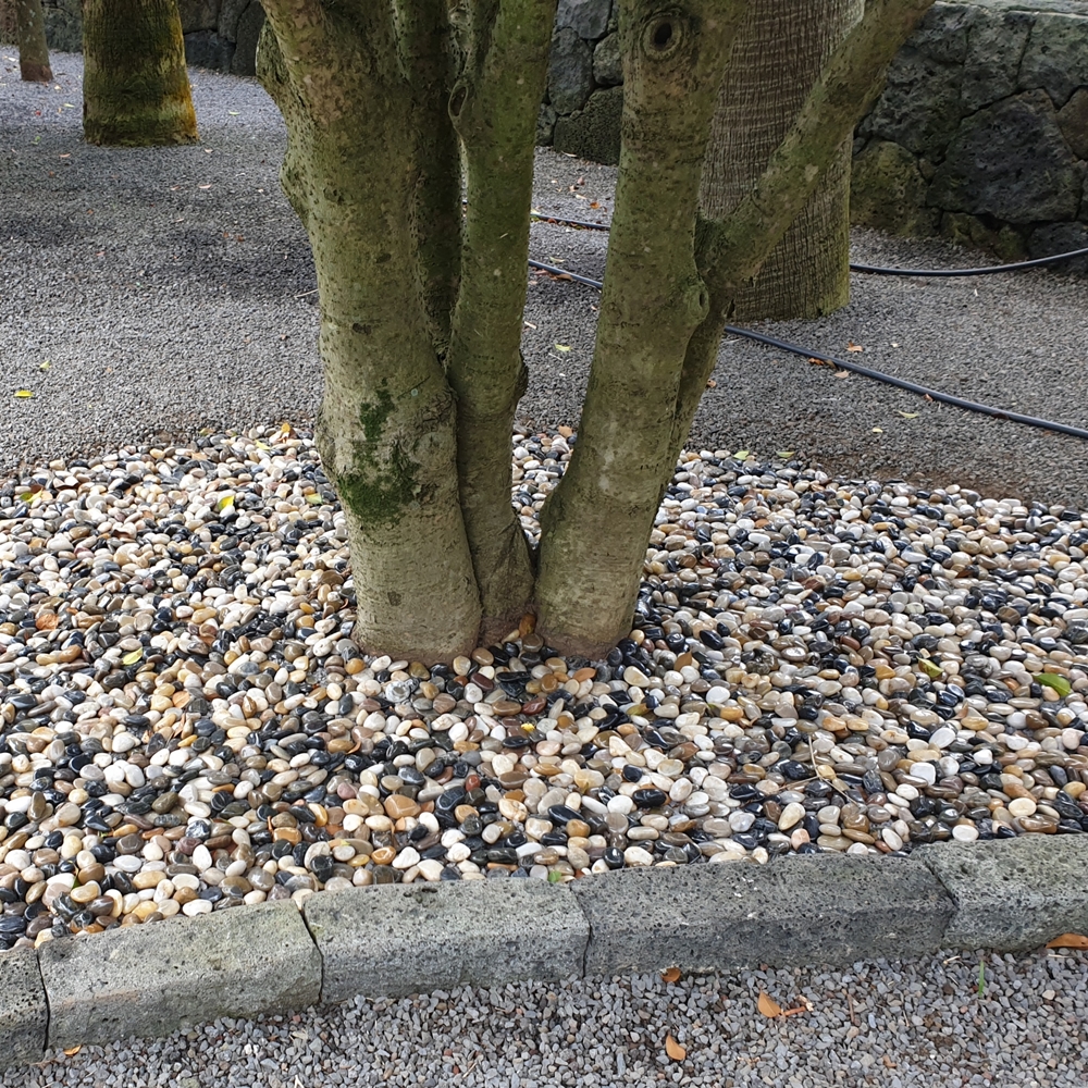 30-50mm우화석자갈고광택(3kg 1봉) - 상세 이미지 3