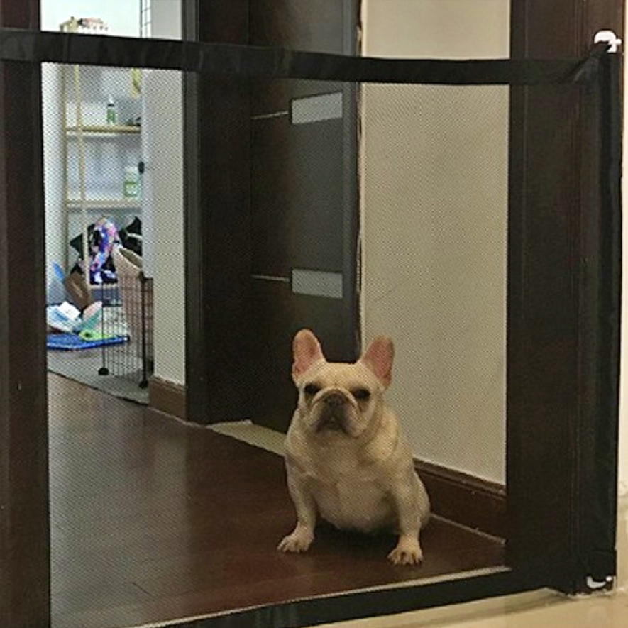 소형견 중형견 펜스 강아지 투명 울타리 휀스 애완견 애견 반려견 안전문