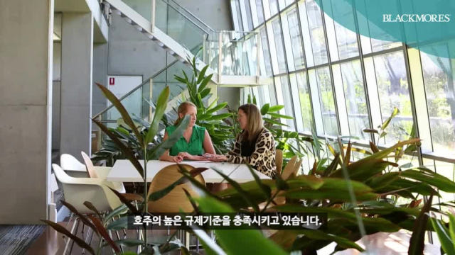 블랙모어스 신바이오틱스 프로바이오틱스 100억유산균 1+1 총 60캡슐 2개월분