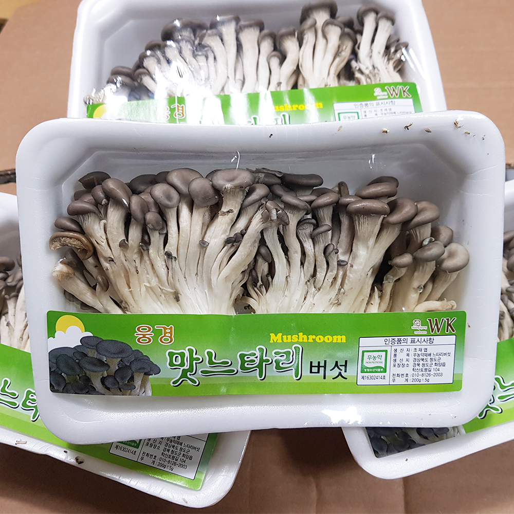 [양산시 배달] 반찬으로 좋은 느타리버섯 1팩 [양산남부 싱싱유통] : 동네시장 장보기