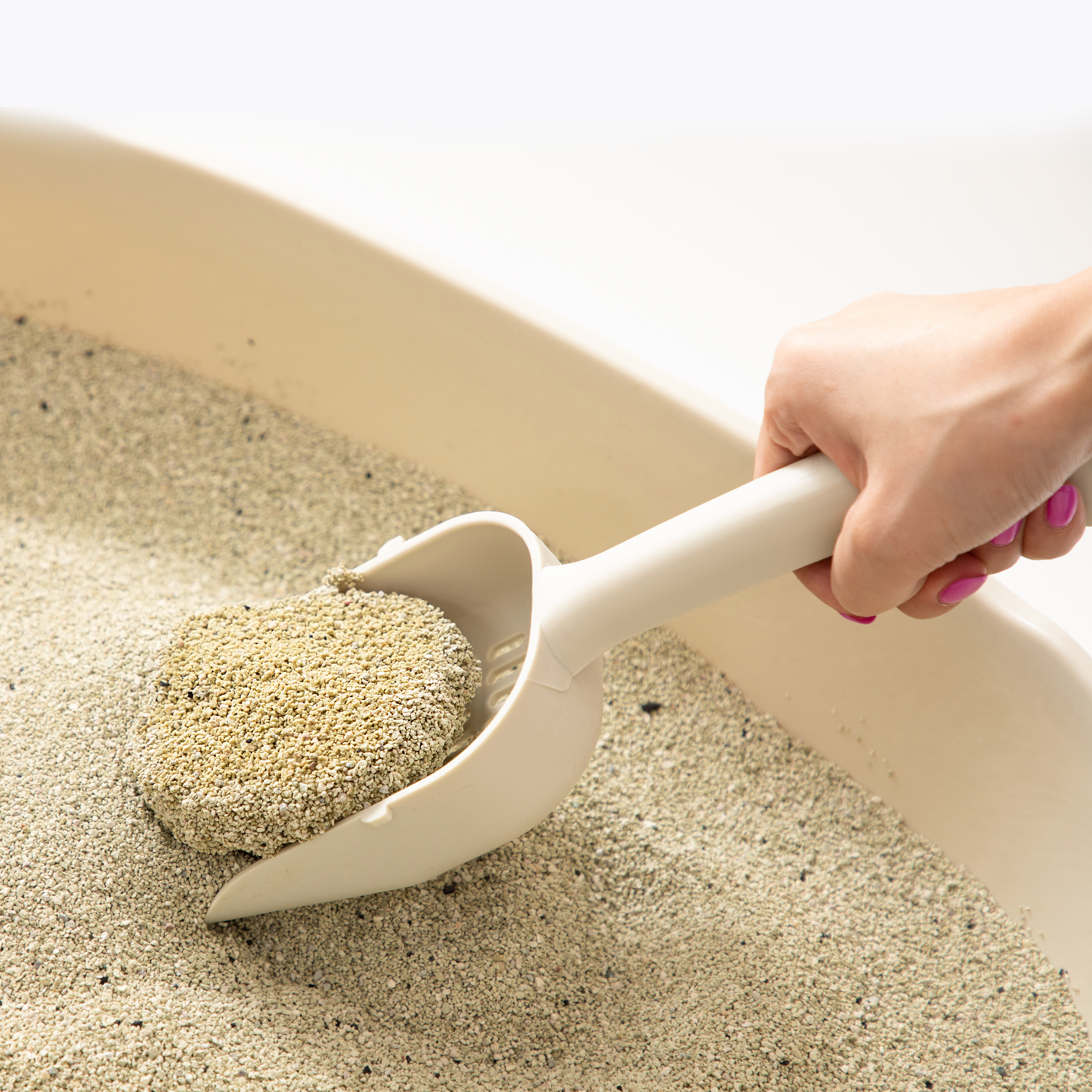 샌드백모래 오리지널 벤토나이트 고양이모래 9kg, 1개