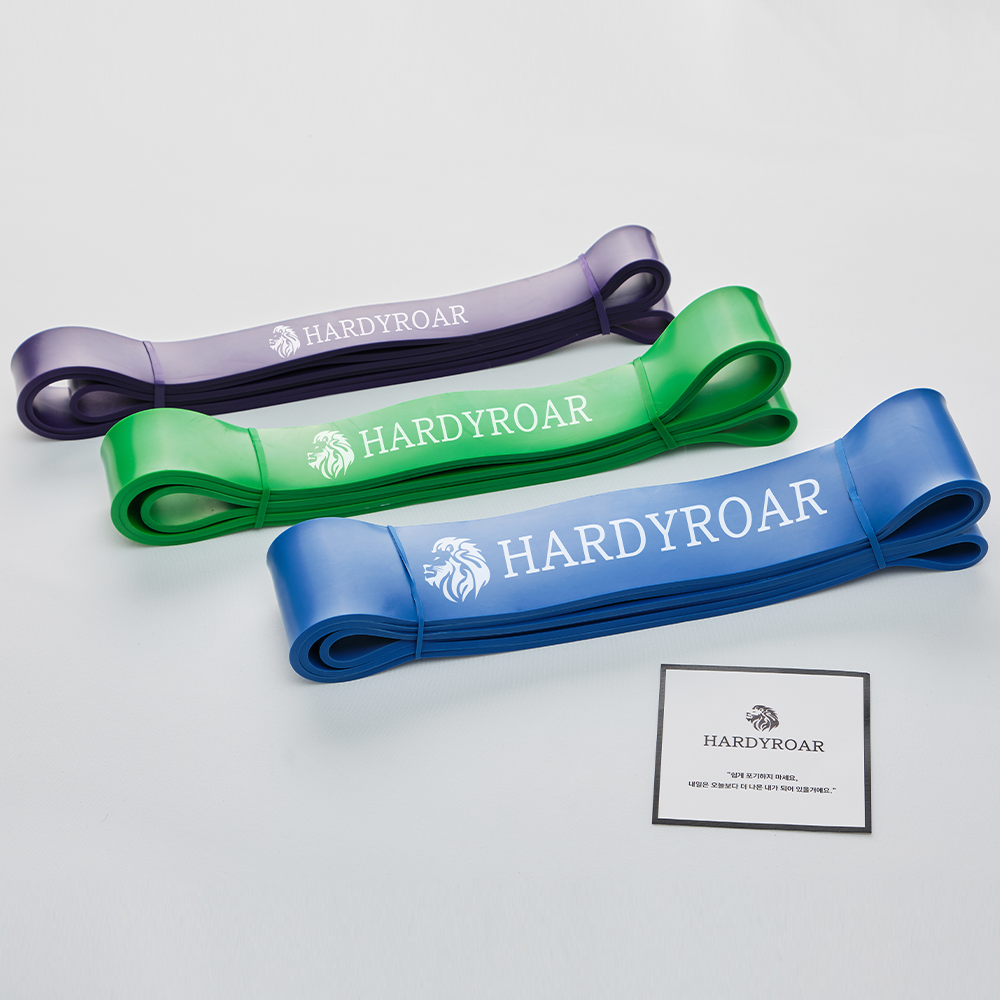 하디로어 턱걸이 밴드 풀업 철봉 운동 고무 헬스 보조 라텍스 보라 / 상급자용