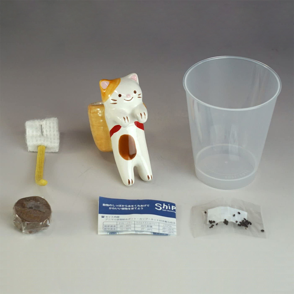 세잎클로버 클로바 씨앗 키우기 키트 이미지 8