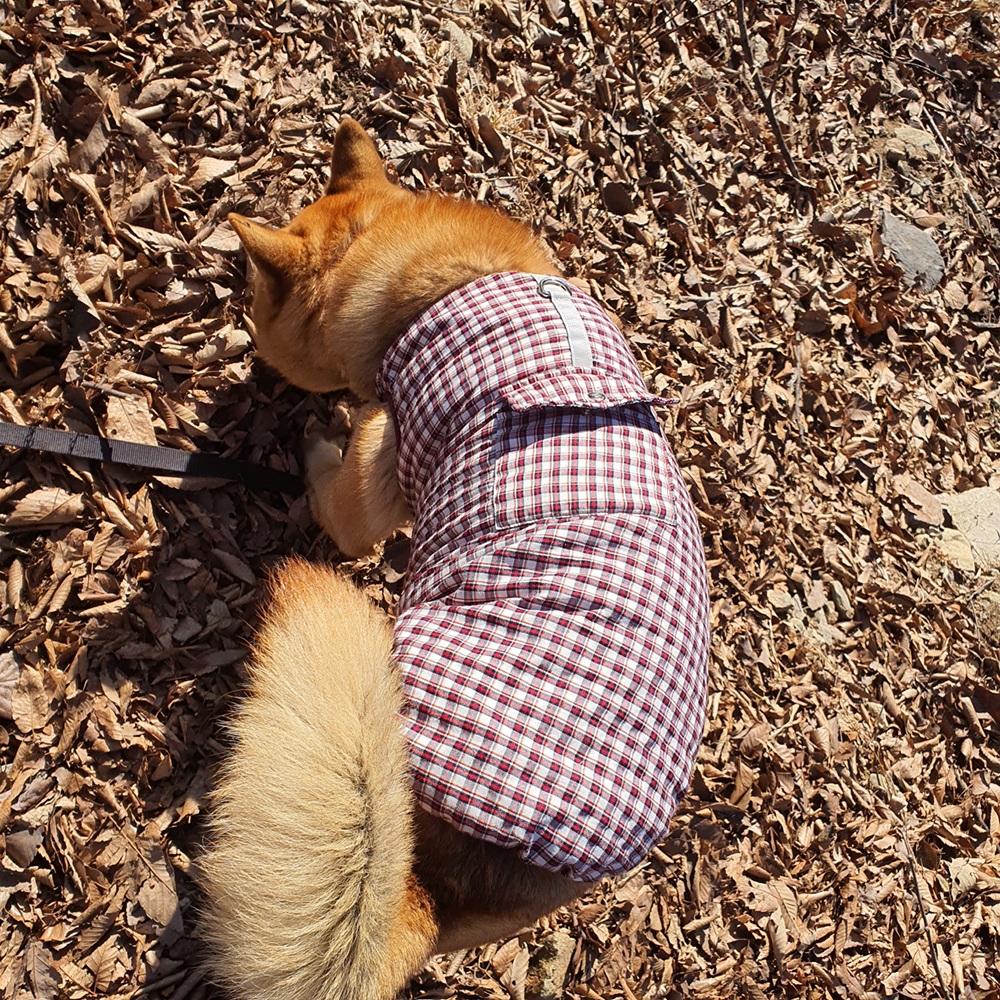 강아지패딩 대형견 패딩 조끼 벨크로 겨울옷 중형견 L
