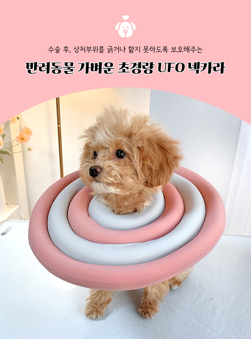 강아지 고양이 초경량 Ufo 넥카라 만들기 목카라 넥워머 중성화 수술후:: 위메프