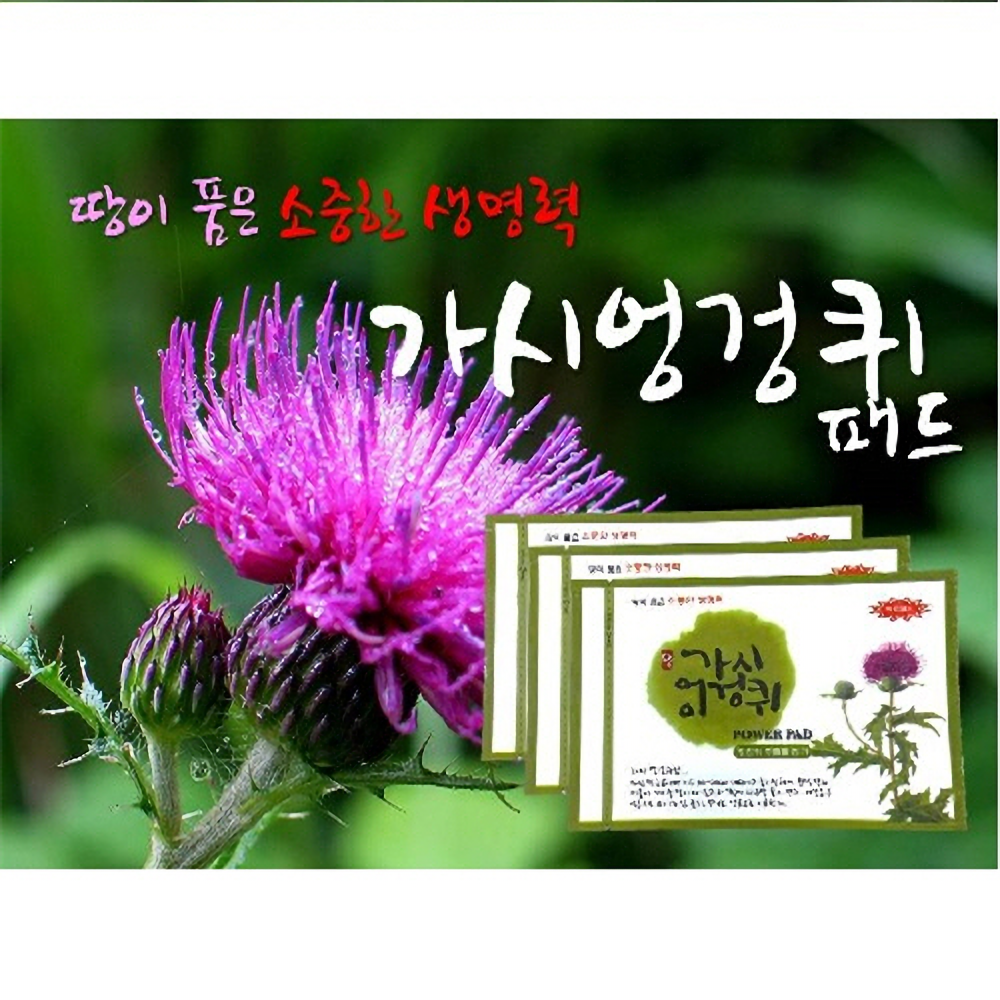 임실 가시엉겅퀴 패드 150매 발열파스 - 상품 이미지