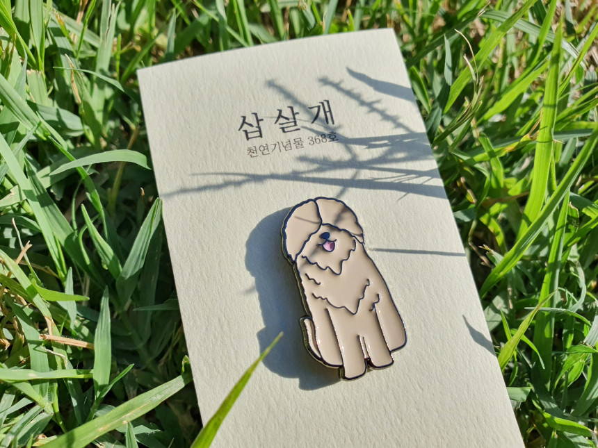 %EC%82%BD%EC%82%B4%EA%B0%9C6.jpg?type=w860