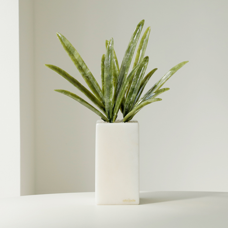 아토제이드 천연 옥꽃 동양란 / 승진선물 승진화분 입사선물 옥화분 옥화 실사용 후기 | 효과 있을까? - 대표 이미지