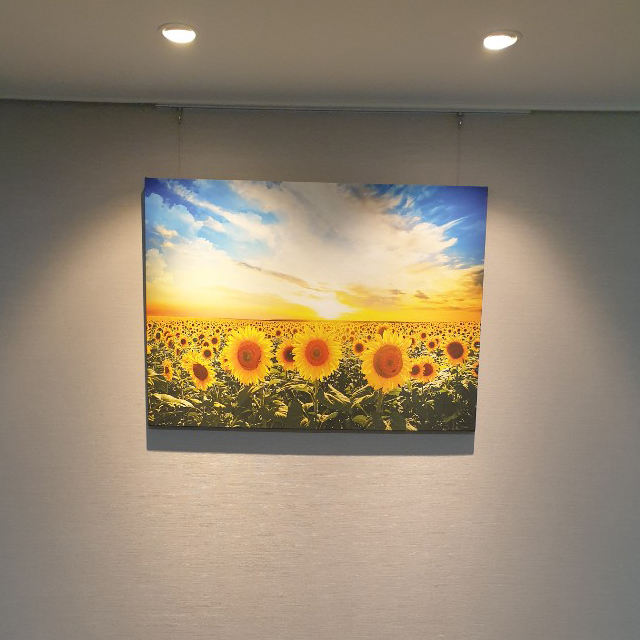 해바라기 그림 액자 대형 집들이 선물 개업 거실 돈들어오는 인테리어 3호