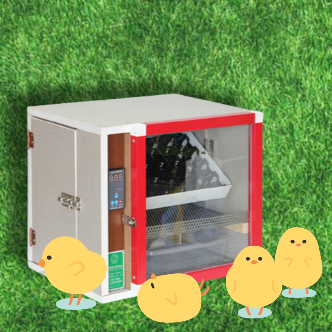 병아리 부화기 병아리 키우기 미니 메추리 계란 부화기 닭 달걀 알 유정란 별도문의