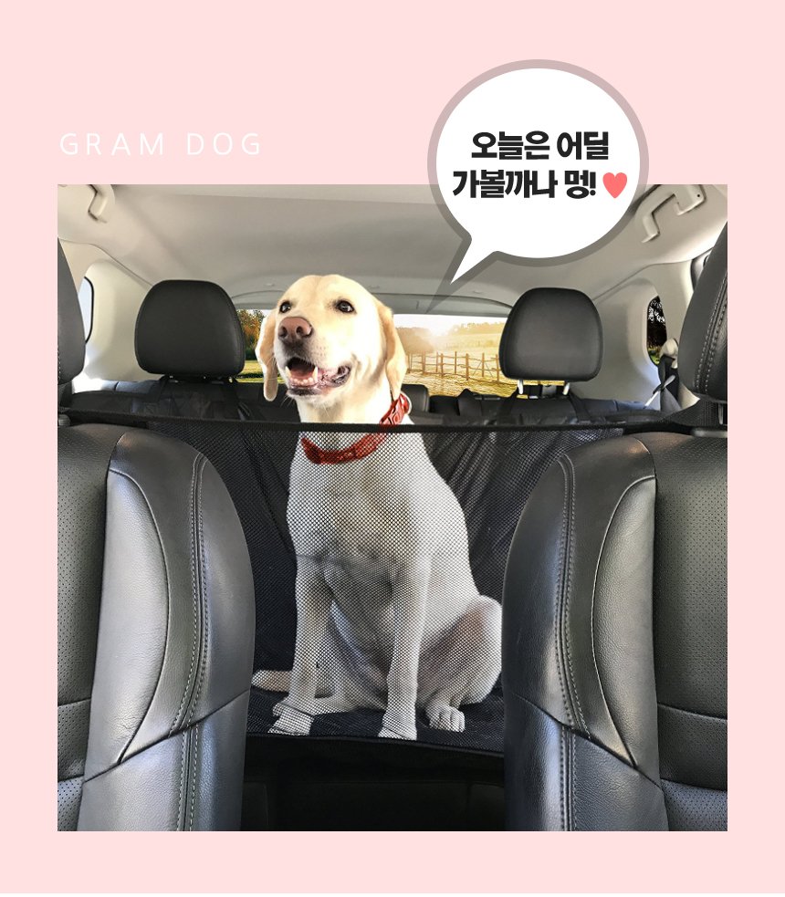 강아지카시트 애견 대형견 뒷좌석 카시트 차시트