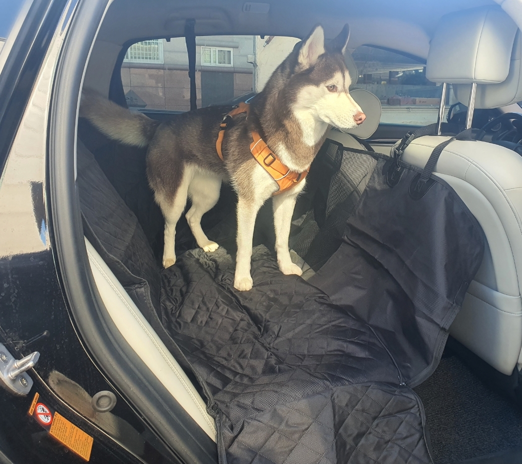 강아지카시트 애견 대형견 뒷좌석 카시트 차시트