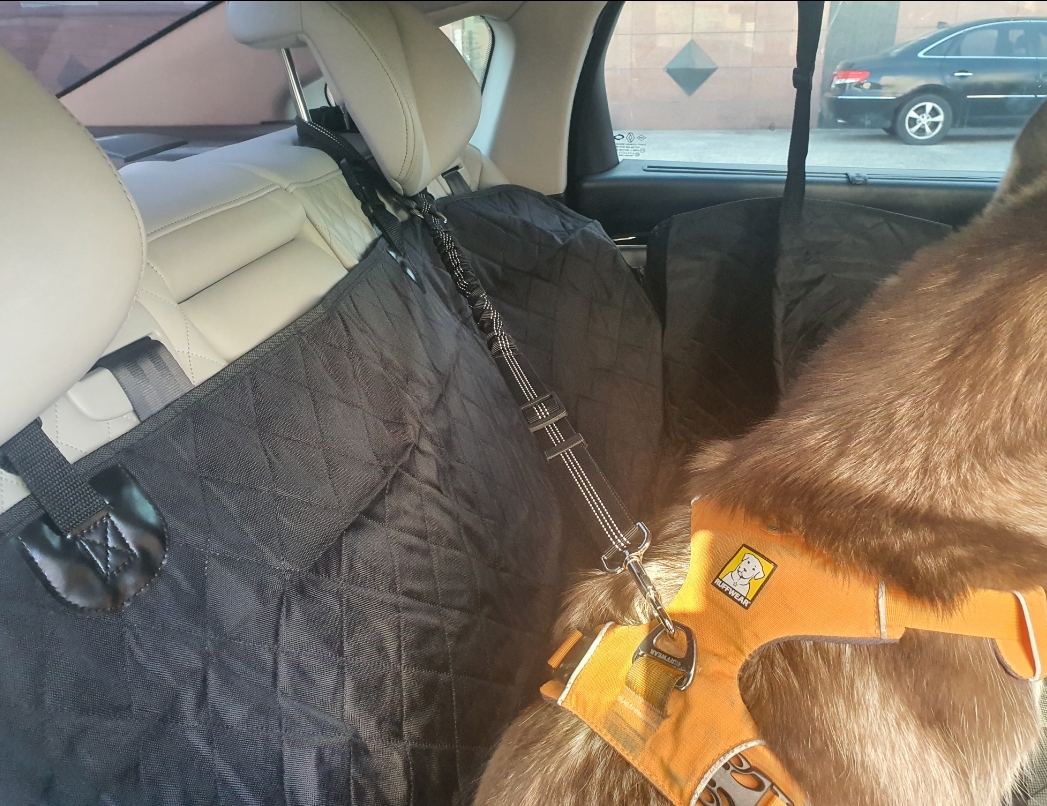 강아지카시트 애견 대형견 뒷좌석 카시트 차시트