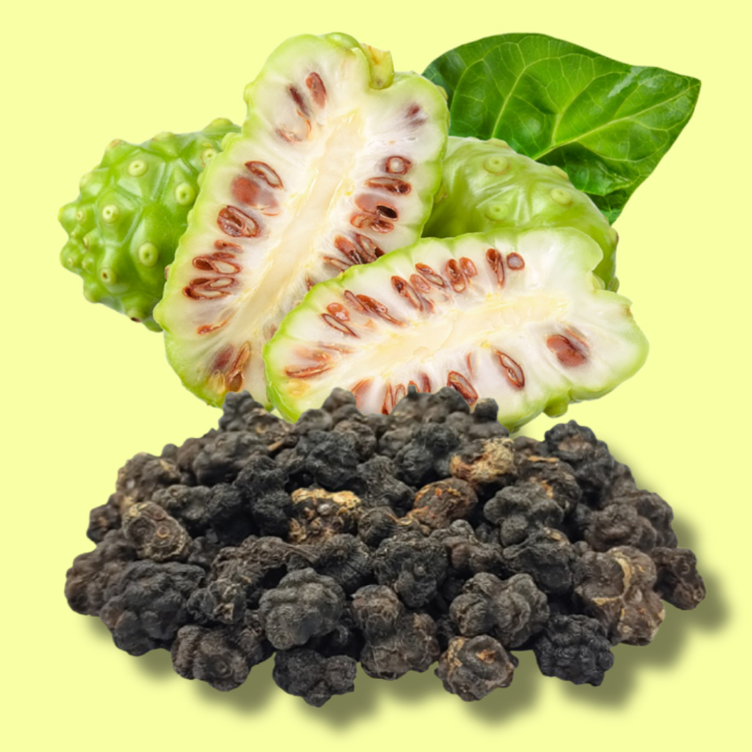 인도 건조 노니 차 야생 열매 먹는 방법 노니티