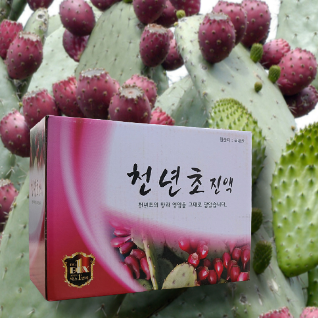 김천 천년초즙 천년초 열매 줄기 엑기스 액기스 선인장즙 - 상품 이미지