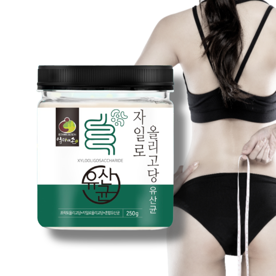 자일로올리고당 250g 혼합유산균 자일란 프락토올리고당-프리바이오틱스 프리바이오스틱