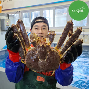 러시아 동해 속초 활 대왕 블루 킹크랩 자숙 선어 활어 1kg 시세 싯가... 맛있게 먹은 솔직 후기 - 상품 이미지 1