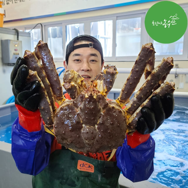 러시아 동해 속초 활 대왕 블루 킹크랩 자숙 선어 활어 1kg 시세