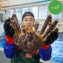 러시아 동해 속초 활 대왕 블루 킹크랩 자숙 선어 활어 1kg 시세 싯가... 맛있게 먹은 솔직 후기 썸네일
