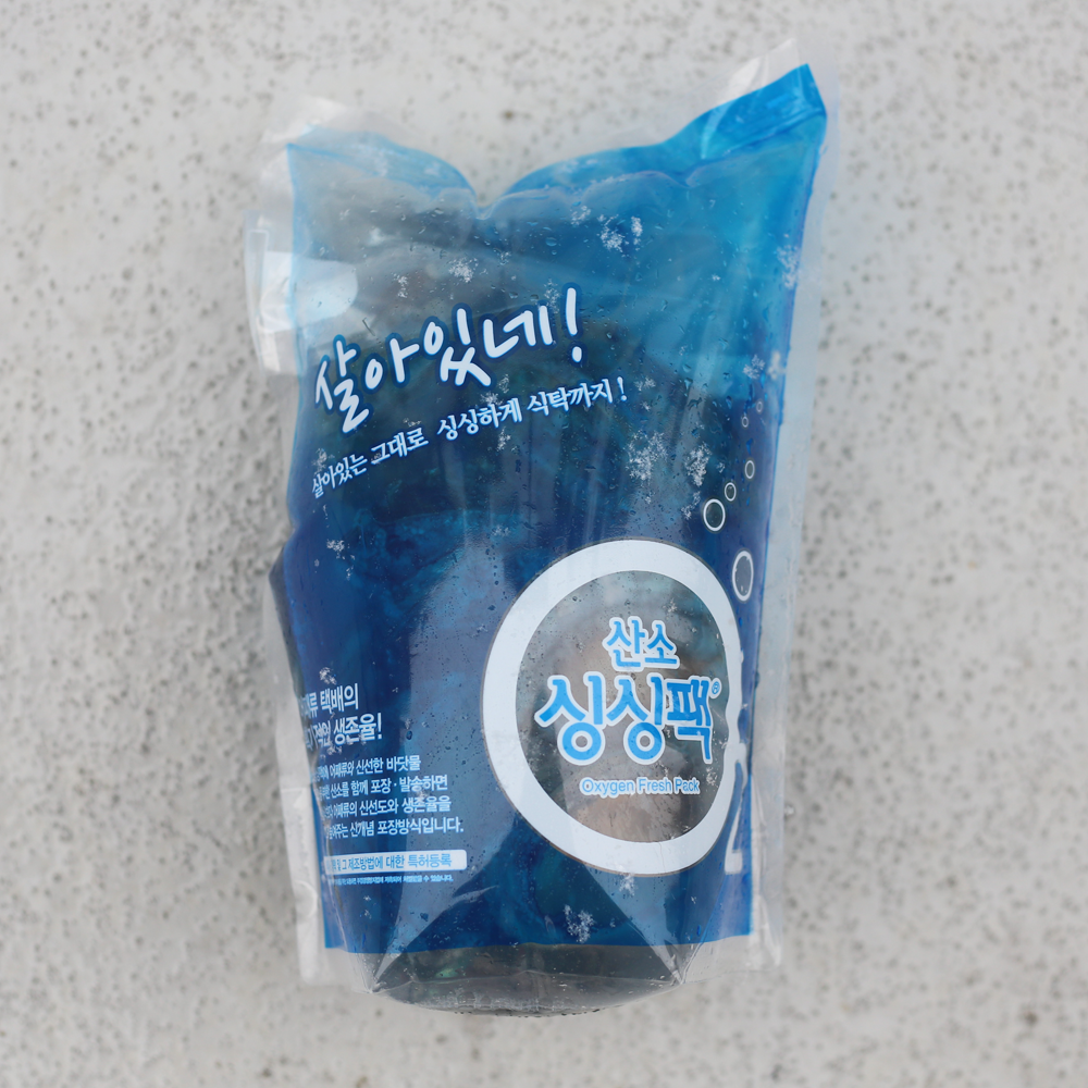 [달빛도마] 전복 완도전복직거래 시세 생전복 청산도 특전복 작은 1kg 이미지 8