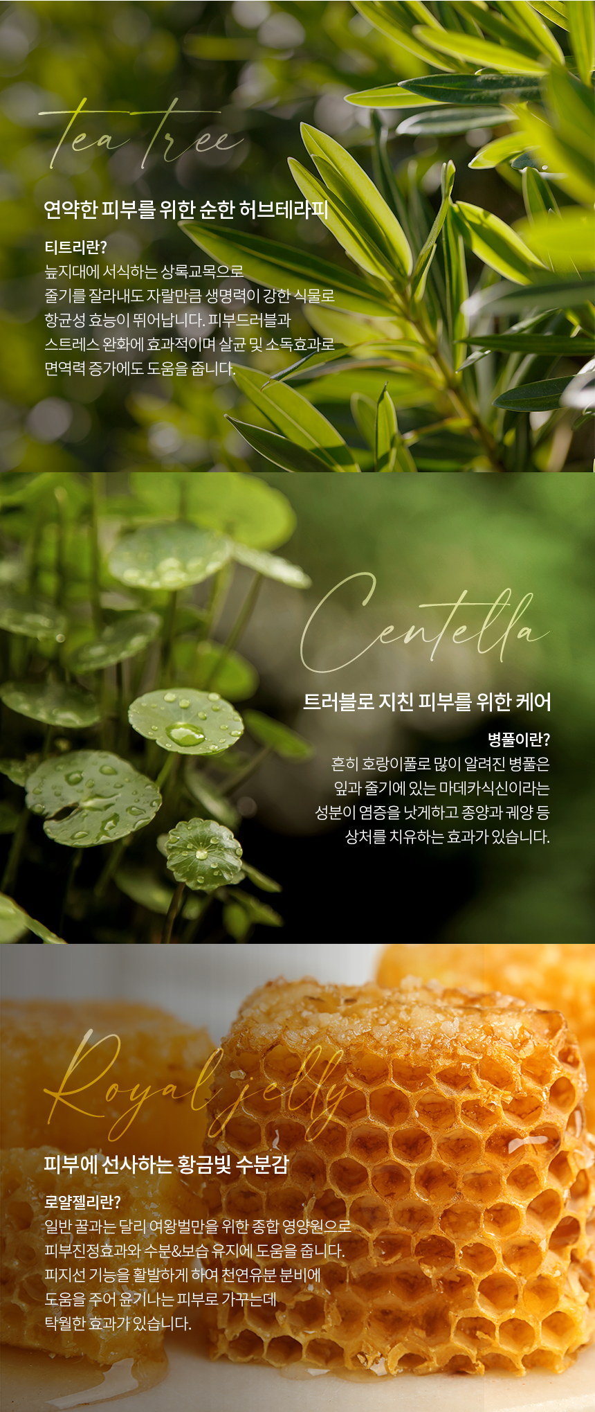 이오니언 올데이즈 선크림 50ml 촉촉한 선크림 - 상세 이미지 5