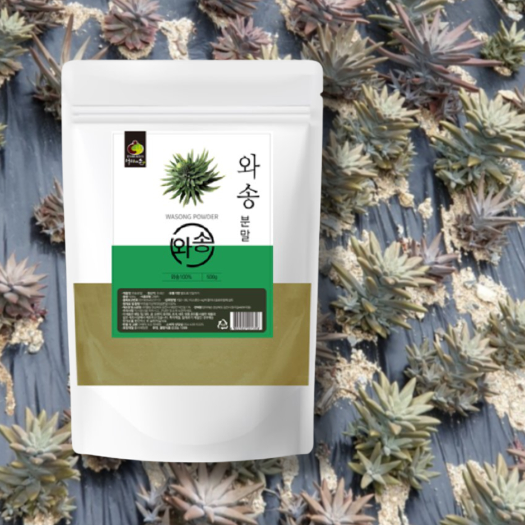 국내산 건 와송 가루 500g 분말 바위솔 먹는법 키우기 효능 효과 파는곳 파우더 - 상품 이미지
