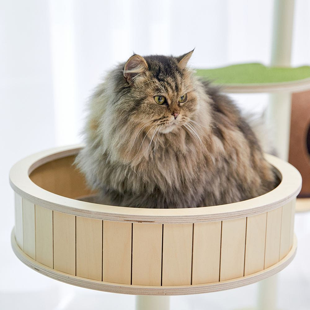 설치 가이드 이미지 1