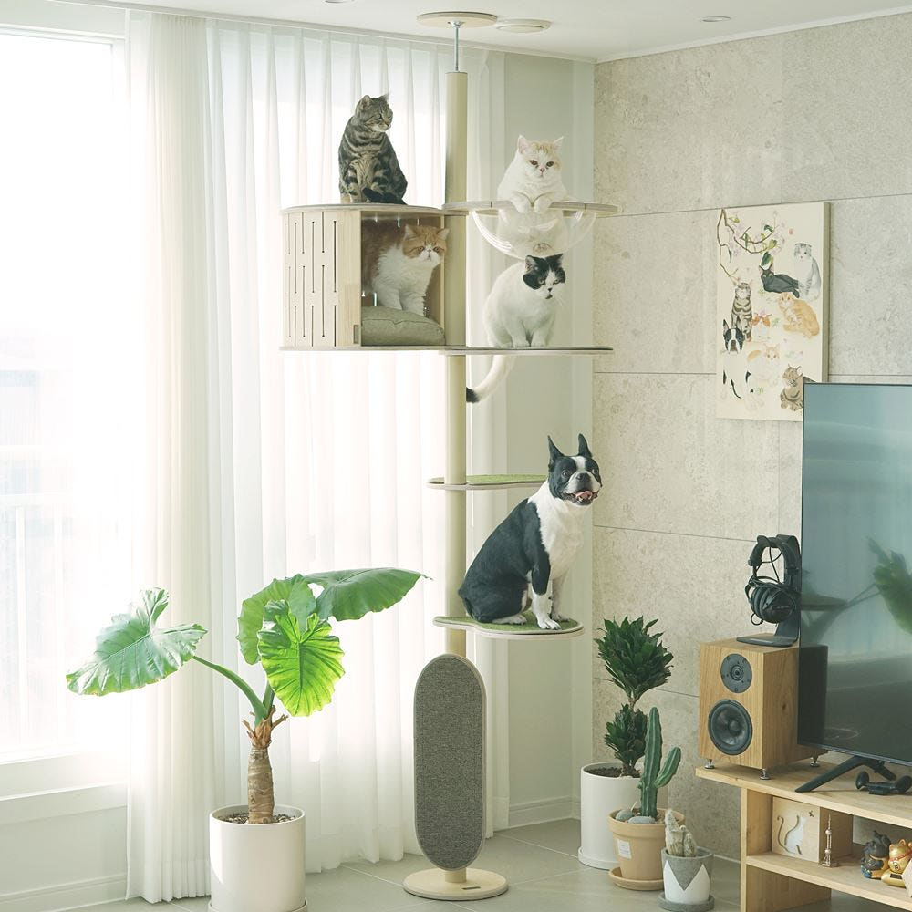 가또블랑코 조립 상세