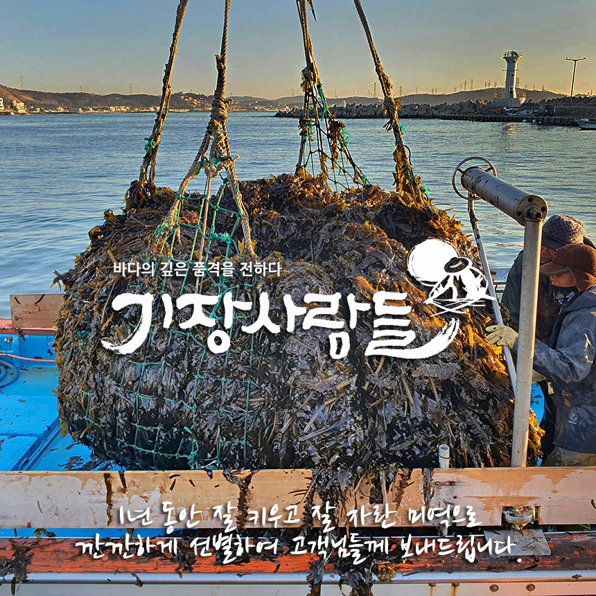기장사람들 기장미역다시마 스토어 로고