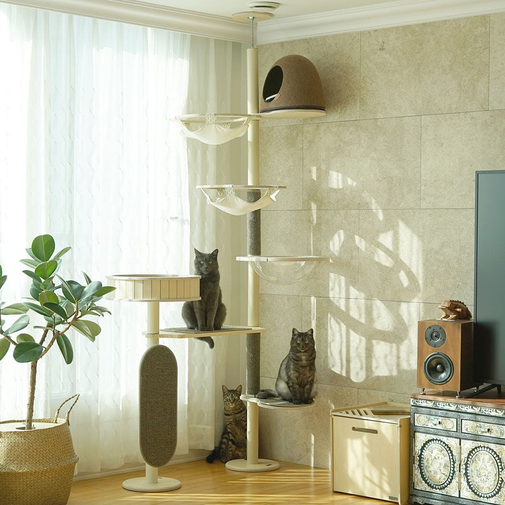 가또블랑코 캣폴