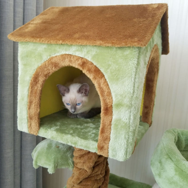 프리미엄 자작나무 캣타워 마감 이미지