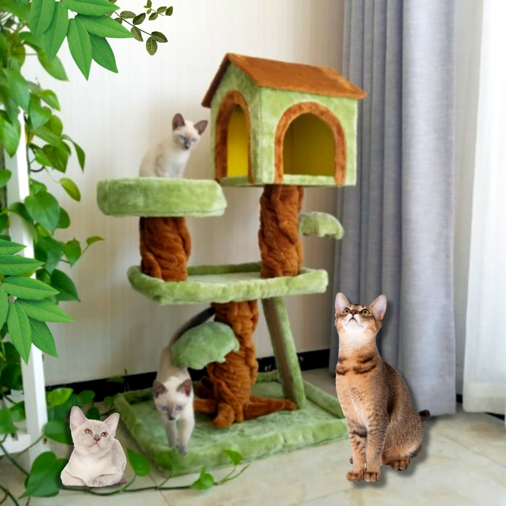 프리미엄 중형 고양이 원룸 캣타워