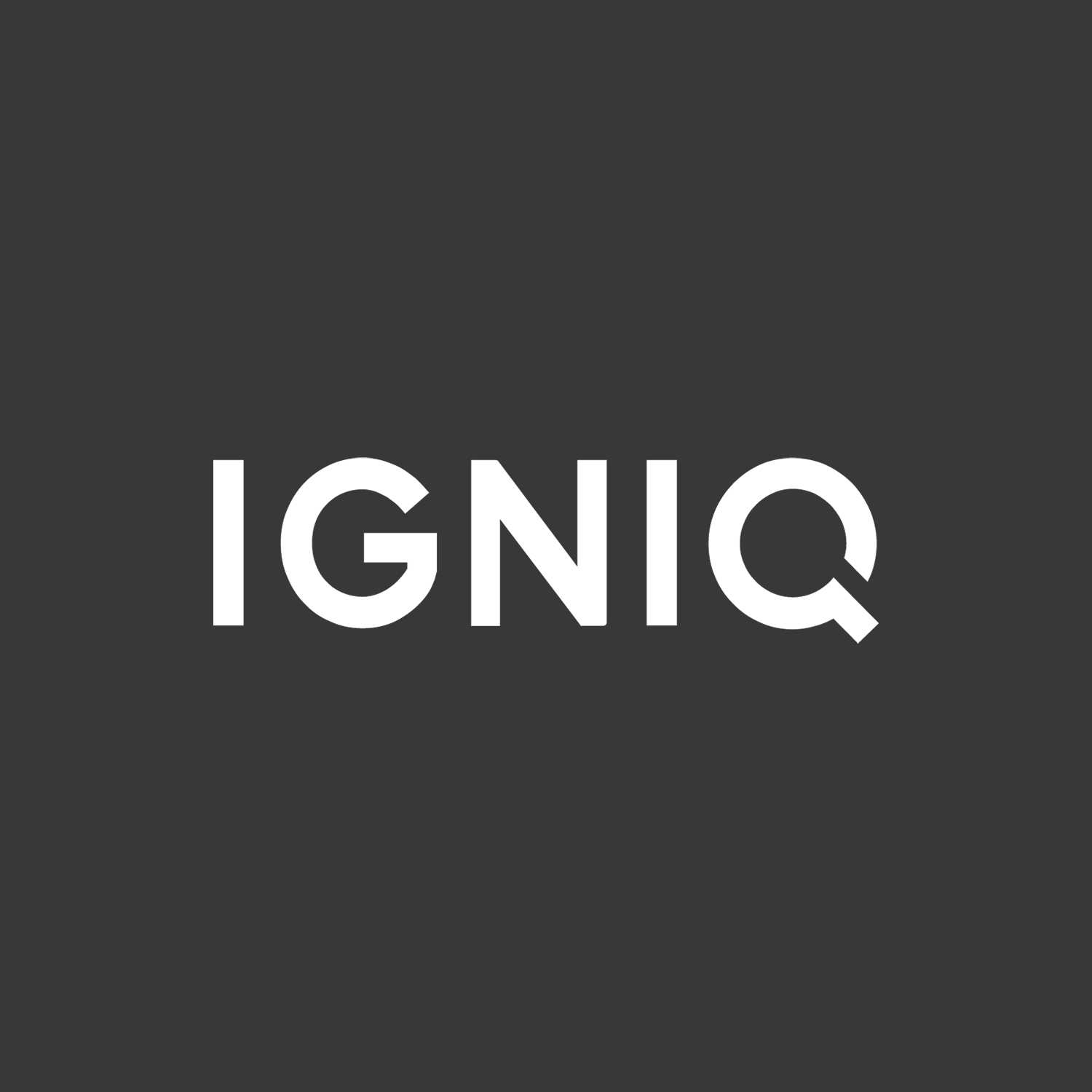 IGNIQ 스토어 로고