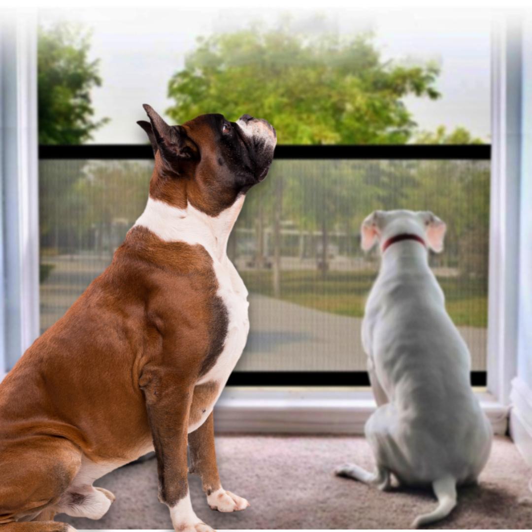 강아지 투명 울타리 펜스 안전문 애견 휀스 강아지 가림막 칸막이