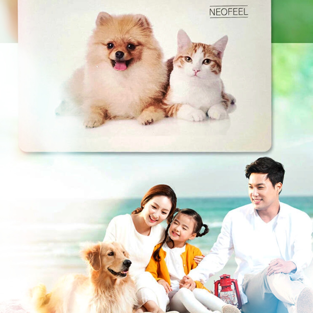 대형 규조토 발매트 구조토 발 매트 욕실 싱크대 주방 강아지 고양이 현관 발판 바닥