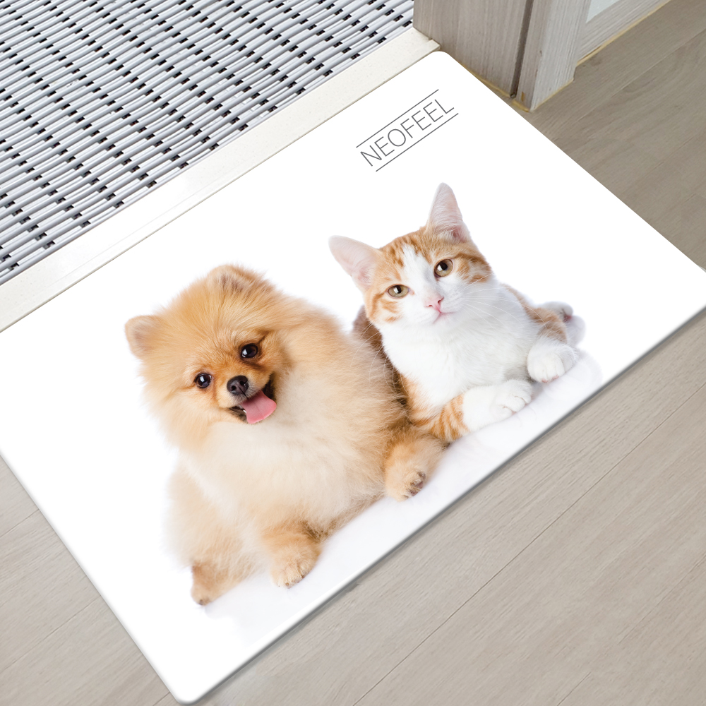 대형 규조토 발매트 구조토 발 매트 욕실 싱크대 주방 강아지 고양이 현관 발판 바닥