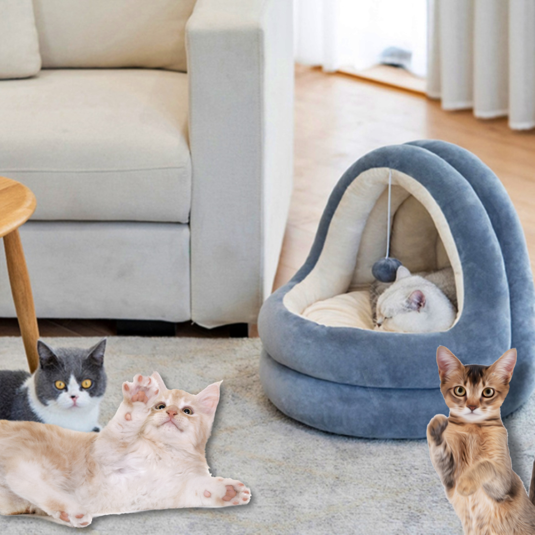 강아지 고양이 숨숨집 고양이 극세사 이글루 하우스 반려묘 쿠션 방석 애견 애묘 반려견 - 상품 이미지